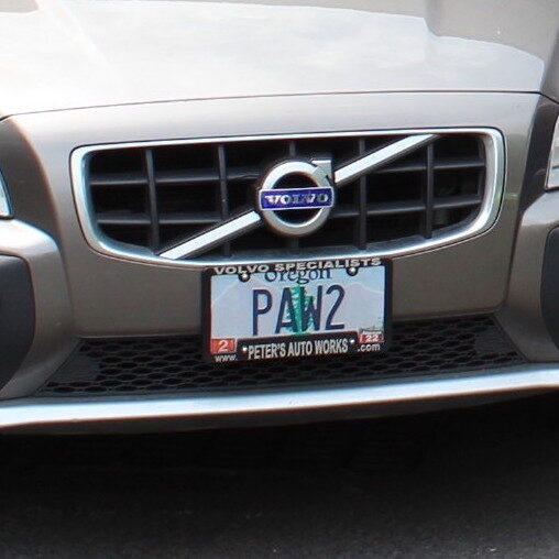 PAW Volvo cropped